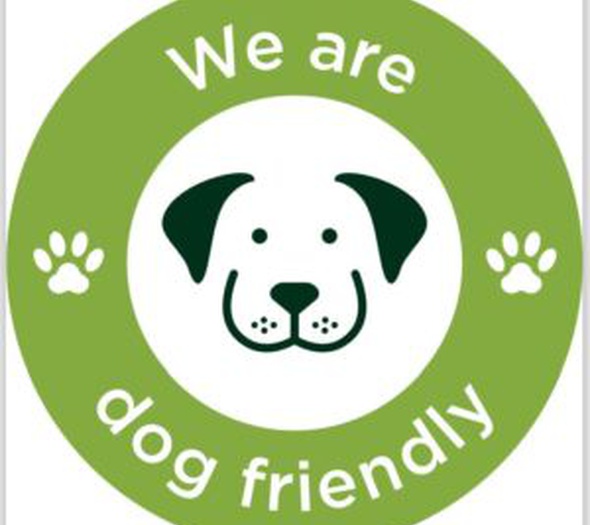 Pet friendly Lloyds Beach Club Aparthotel Torrevieja, Alicante